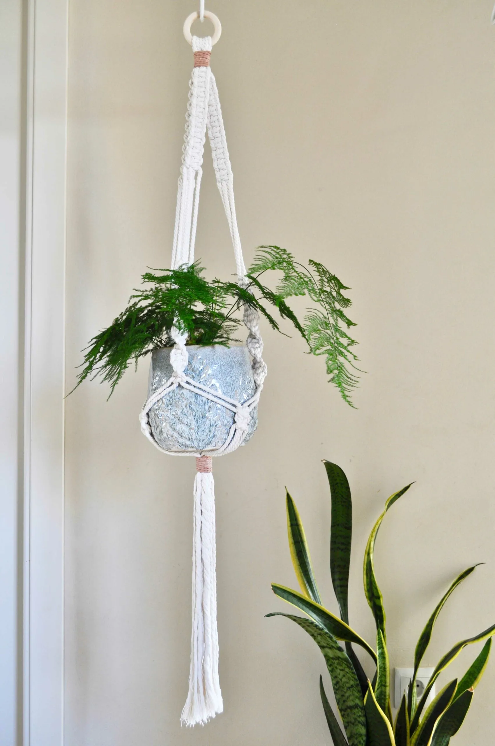 KIT DIY -Macetero colgante de macramé - Imagen 3